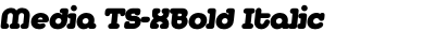 Media TS-XBold Italic